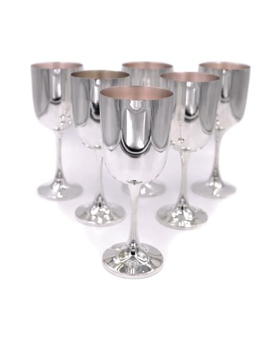 Calici Vino in Argento Set da 6 