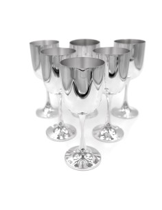 Silberne Wassergläser 6er-Set