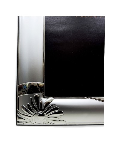 Satin Silver Picture Frame Flowers cm 20x25