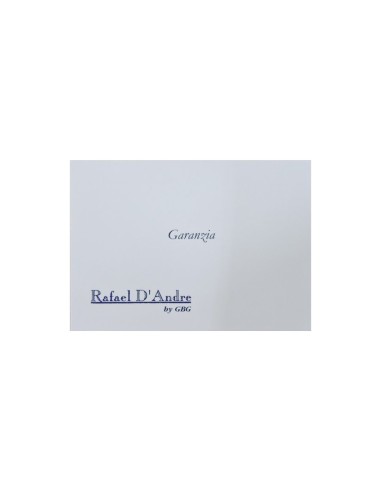 Cornice Portafoto in Argento Lucida Cerchi...
