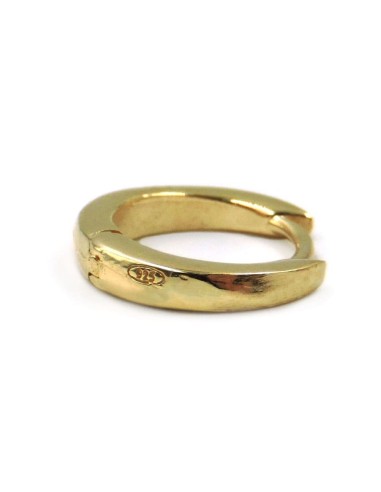 Orecchini Cerchio Mini in Argento 925 Placcato...