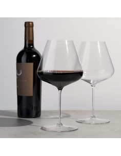 Spiegelau Definition Burgundy Glass Set of 2 2