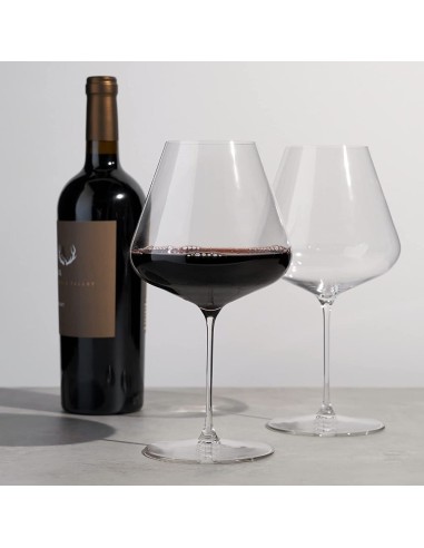 Spiegelau Definition Burgundy Glass Set of 2
