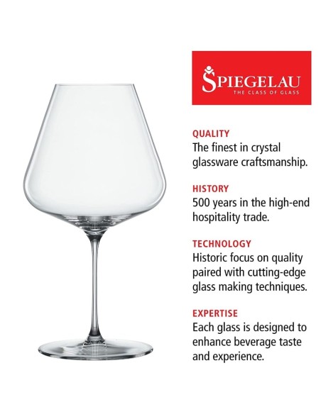 Spiegelau Definition Burgundy Glass Set of 2