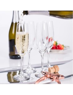 Champagne Flute Set of 4 Spiegelau Salute 2