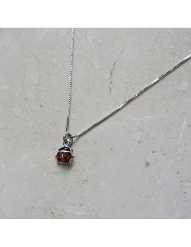 Collana con Coccinella in Argento Smaltato 