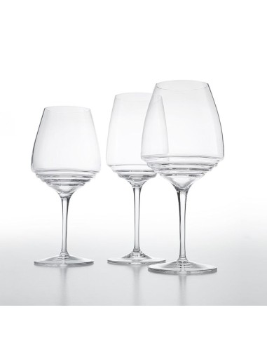 Zafferano Esperienze Set 6 Amarone Wine Glasses 