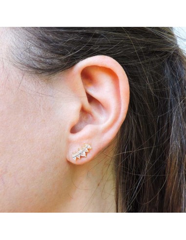 Orecchini in Argento 925 Placcato Oro e 5...