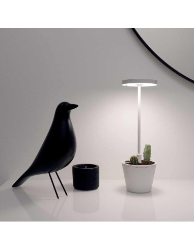 Zafferano Poldina Reverso Tischlampe Weiß