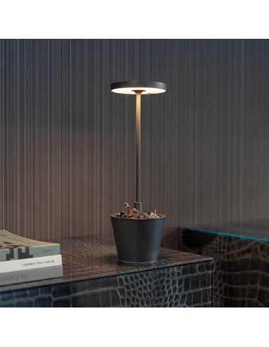 Zafferano Poldina Reverso Tischlampe Salbeigrün