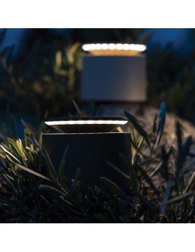 Zafferano Push-Up Lampada da Tavolo LED...
