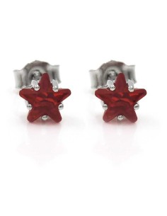 925 Sterling Silver Earrings with Star-Cut Stone