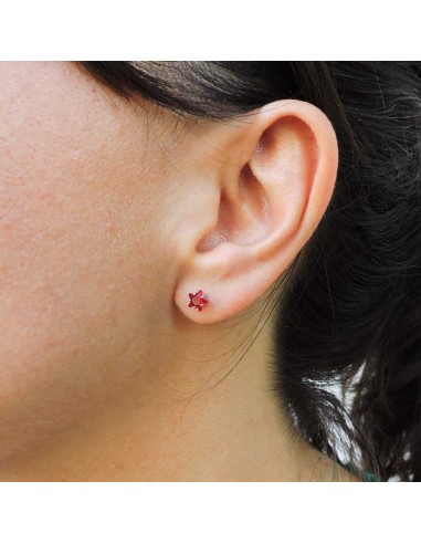 925 Sterling Silver Earrings with Star-Cut Stone