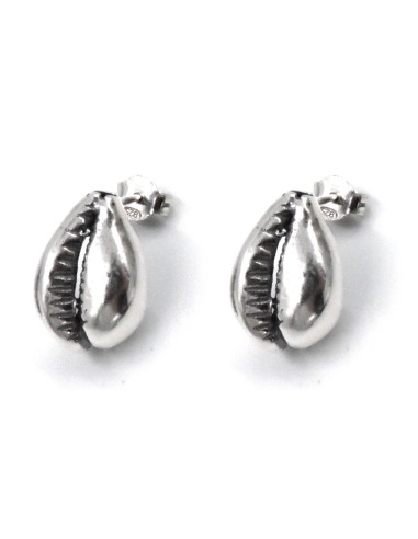 Solid Silver Cowry Shell Earrings 