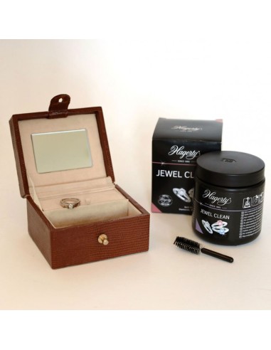 Hagerty Jewel Clean Bath für Schmuck und...