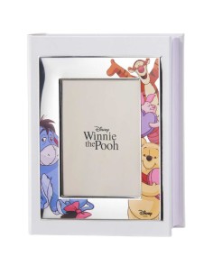 Album Fotografico Winnie The Pooh and Friends Disney...