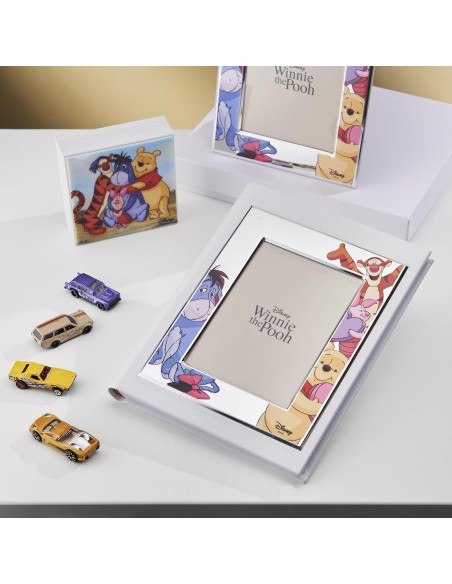 Disney Winnie The Pooh und Freunde Fotoalbum