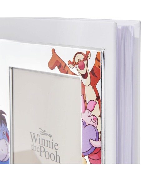 Disney Winnie The Pooh und Freunde Fotoalbum