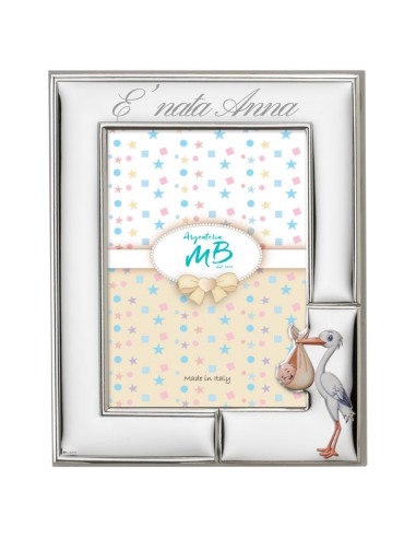 Birth Picture Frame with Stork Customizable...