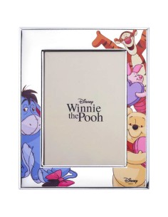 Disney Winnie The Pooh und Freunde Bilderrahmen 13x18 cm