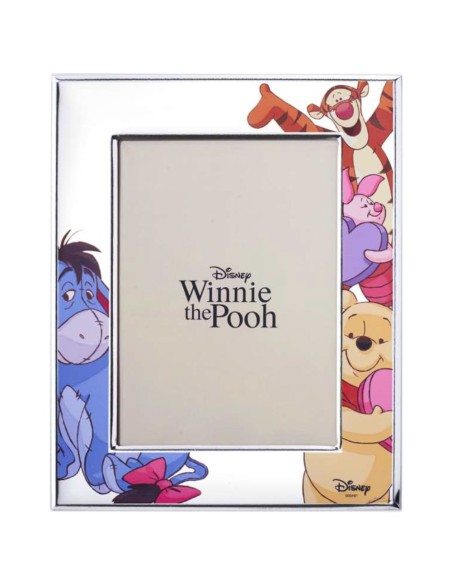 Disney Winnie The Pooh und Freunde Bilderrahmen 13x18 cm