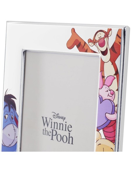 Disney Winnie The Pooh and Friends Picture Frame 5 x 7
