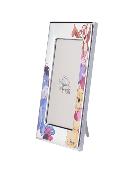 Disney Winnie The Pooh and Friends Picture Frame 5 x 7