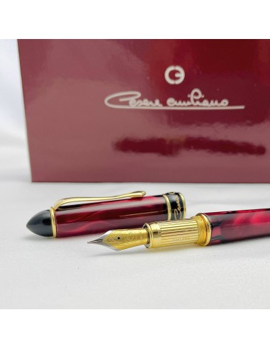 Penna Stilografica in Resina Rossa Venata e...