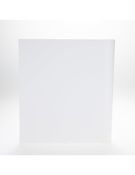 Album Fotografico La Carica dei 101 Disney
