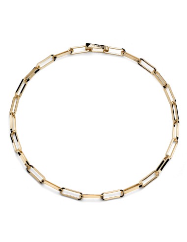 Flat Oval Chain Necklace in Gold Plated Bronze 