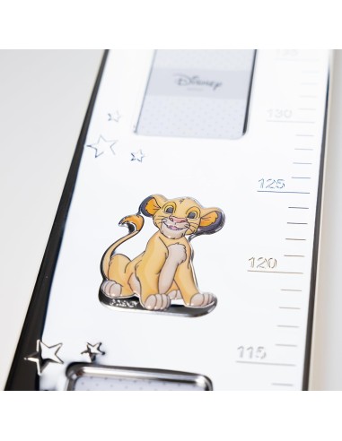 Disney The Lion King Wall Meter 