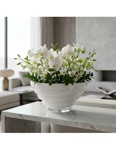 Centrotavola Anelli Bianco OL02990 ONLYLUX