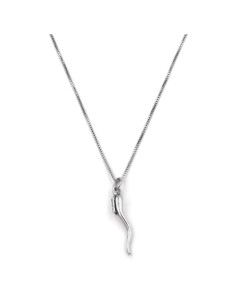 Sterling Silver Necklace with Lucky Horn Pendant  2