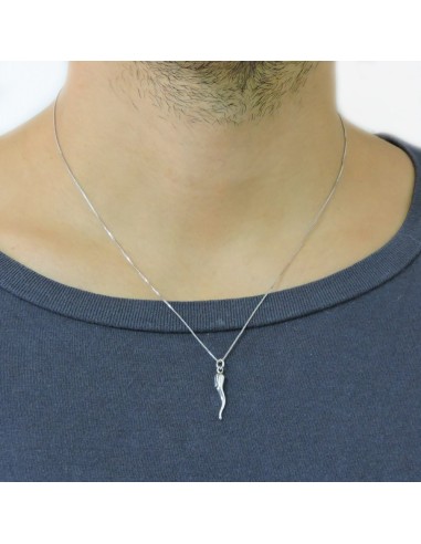 Collana con Corno Portafortuna in Argento 