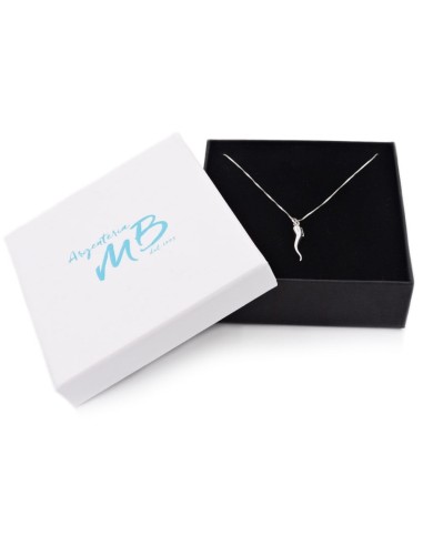 Sterling Silver Necklace with Lucky Horn Pendant 