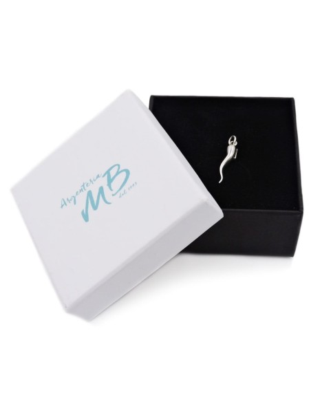 Sterling Silver Lucky Horn Pendant 