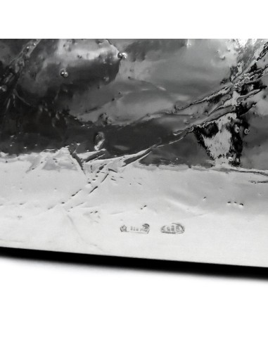 Cornice Portafoto Lame cm 13x18 in Argento...