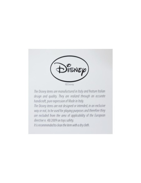 Cornice Disney Minnie Portafoto in Plexiglass cm 15x20 